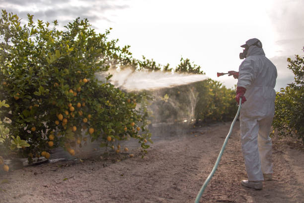 Insect Control in College Place, WA