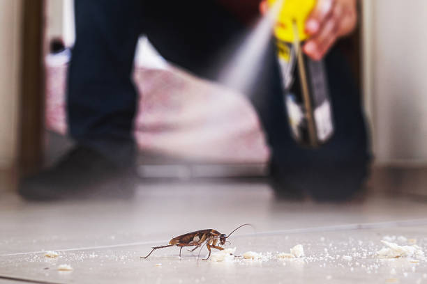  College Place, WA Pest Control Pros