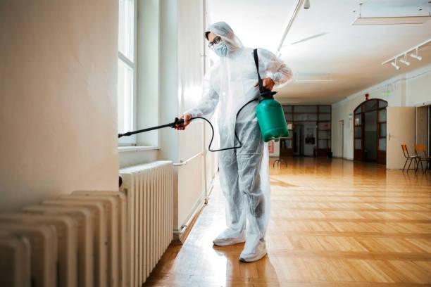 Best Rat Extermination Near Me  in College Place, WA